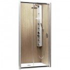 Душевая дверь Radaway Premium Plus DWJ 150 33343-01-01N