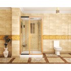 Душевая кабина 120х90 Niagara Lux 7711G L