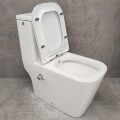 Унитаз Bloomix S-Line 2324SB/UF1 Ceramic+ моноблок безободковый с функцией биде и смесителем