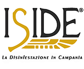 Iside
