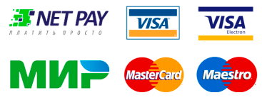 Net Pay