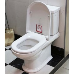 Унитаз Villeroy & Boch Hommage 666210R1