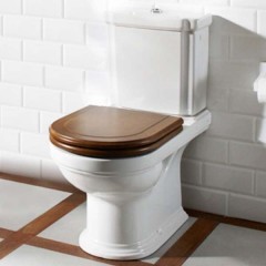 Крышка-сиденье для унитаза Villeroy & Boch Hommage 99266600