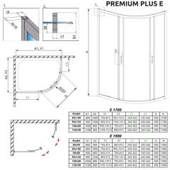Душевой угол Radaway Premium Plus E 100x80x190 30491-01-01N