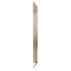 Боковая стенка Radaway Premium Plus S 100 33423-01-06N