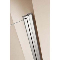 Душевая дверь Radomir 600x2000