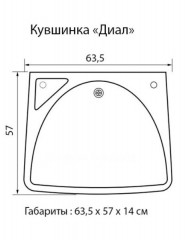 Раковина кувшинка Диал 63