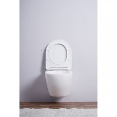 Унитаз подвесной Esbano Azalea matt white безободковый