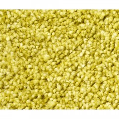 Коврик для ванной комнаты WasserKRAFT Wern BM-2543 pistachio