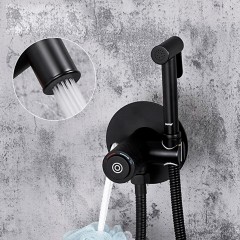 Смеситель с гигиеническим душем встраиваемый Gappo G7288-6