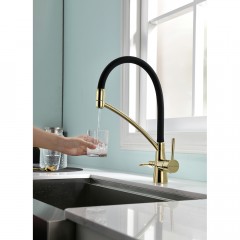 Смеситель для кухни Paulmark Siegen Si213111-G
