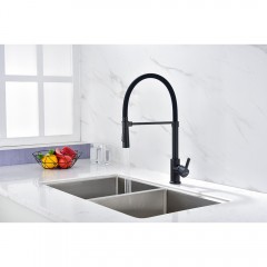 Смеситель для кухни Paulmark Halt Ha214021-401