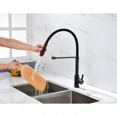 Смеситель для кухни Paulmark Halt Ha214021-401