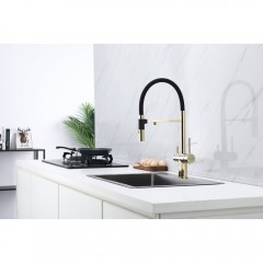 Смеситель для кухни Paulmark Magneto Ma213118-G