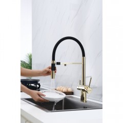 Смеситель для кухни Paulmark Magneto Ma213118-G