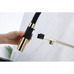 Смеситель для кухни Paulmark Magneto Ma213118-G