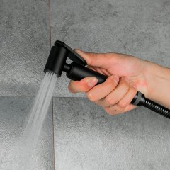 Смеситель с гигиеническим душем Gappo G03-6 G2003-6