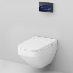 Инсталляция с унитазом Am.Pm Inspire 2.0 IS450A38.CCC50A