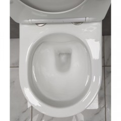 Инсталляция Geberit 111.153.00.1 + кнопка смыва Delta21 115.125.11.1 + унитаз Bloomix Roland 1201 безободковый с сиденьем