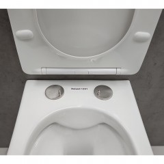 Инсталляция Geberit 111.153.00.1 + кнопка смыва Delta21 115.125.11.1 + унитаз Bloomix Roland 1201 безободковый с сиденьем
