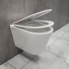 Инсталляция Geberit 111.153.00.1 + кнопка смыва Delta21 115.125.11.1 + унитаз Bloomix Roland 1201 безободковый с сиденьем