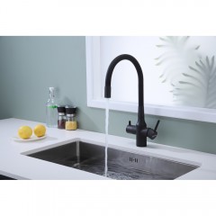 Смеситель для кухни Paulmark Salix Sa213419-401