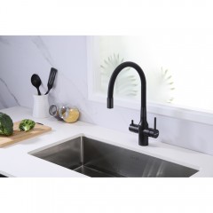 Смеситель для кухни Paulmark Salix Sa213419-418