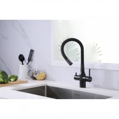 Смеситель для кухни Paulmark Salix Sa213419-418