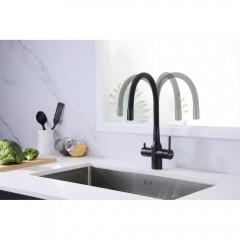 Смеситель для кухни Paulmark Salix Sa213419-418