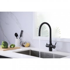 Смеситель для кухни Paulmark Salix Sa213419-418