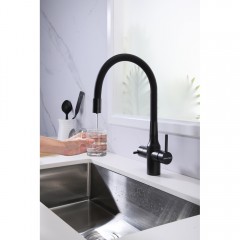 Смеситель для кухни Paulmark Salix Sa213419-418