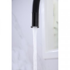Смеситель для кухни Paulmark Salix Sa213419-418
