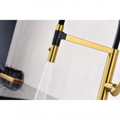 Смеситель для кухни Paulmark Leader Le214101-BG