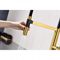 Смеситель для кухни Paulmark Leader Le214101-BG