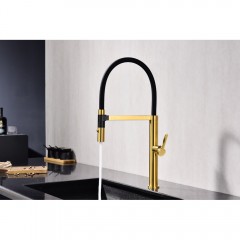 Смеситель для кухни Paulmark Leader Le214101-BG