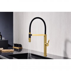 Смеситель для кухни Paulmark Leader Le214101-BG