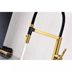 Смеситель для кухни Paulmark Leader Le214101-BG