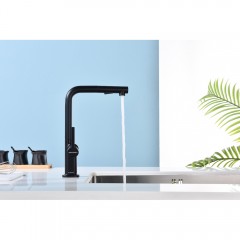 Смеситель для кухни Paulmark Neo Ne214419-401