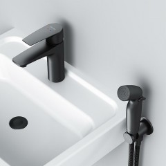 Смеситель для раковины Am.Pm Gem F90A03022 с гигиеническим душем
