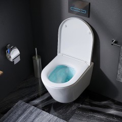 Унитаз подвесной Am.Pm Sense C741701SC безободковый