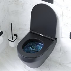 Унитаз подвесной Am.Pm Spirit V2.0 C701700MBSC безободковый
