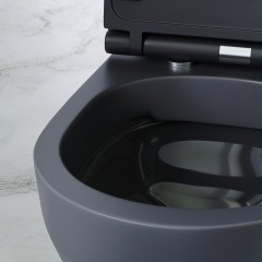 Унитаз подвесной Am.Pm Spirit V2.0 C701700MBSC безободковый