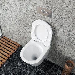 Унитаз подвесной Teymi Solli T40201HARO безободковый