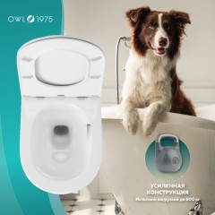 Унитаз подвесной OWL Wave Cirkel-H TOWLT190801 безободковый торнадо