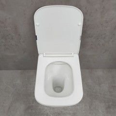 Унитаз приставной Bloomix Franz 2.0 T120103R/UF1 безободковый