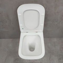 Унитаз приставной Bloomix Franz 2.0 T120103R/UF1 безободковый
