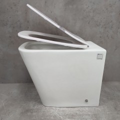 Унитаз приставной Bloomix Franz 2.0 T120103R/UF1 безободковый