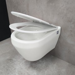 Унитаз подвесной Bloomix Modern 2.0 T120208R/UF1 безободковый