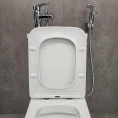 Унитаз Bloomix Amerind F2075S/UF1 безободковый с раковиной