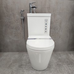 Унитаз Bloomix Prime F2071S/UF2 безободковый с раковиной